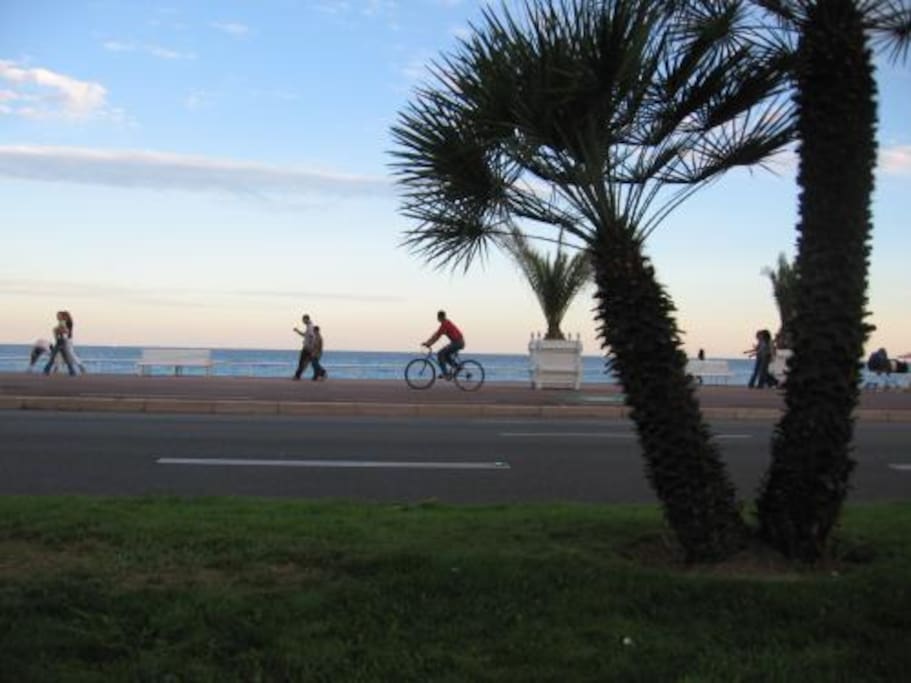 Promenade des Anglais à 80m, Cafés, Restaurants