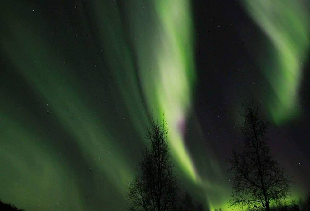 Northern Light in Sápmi