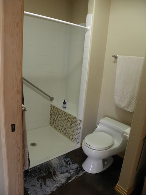 This is a roll-in shower with a grab bar, bench, and hand-held sprayer if needed.