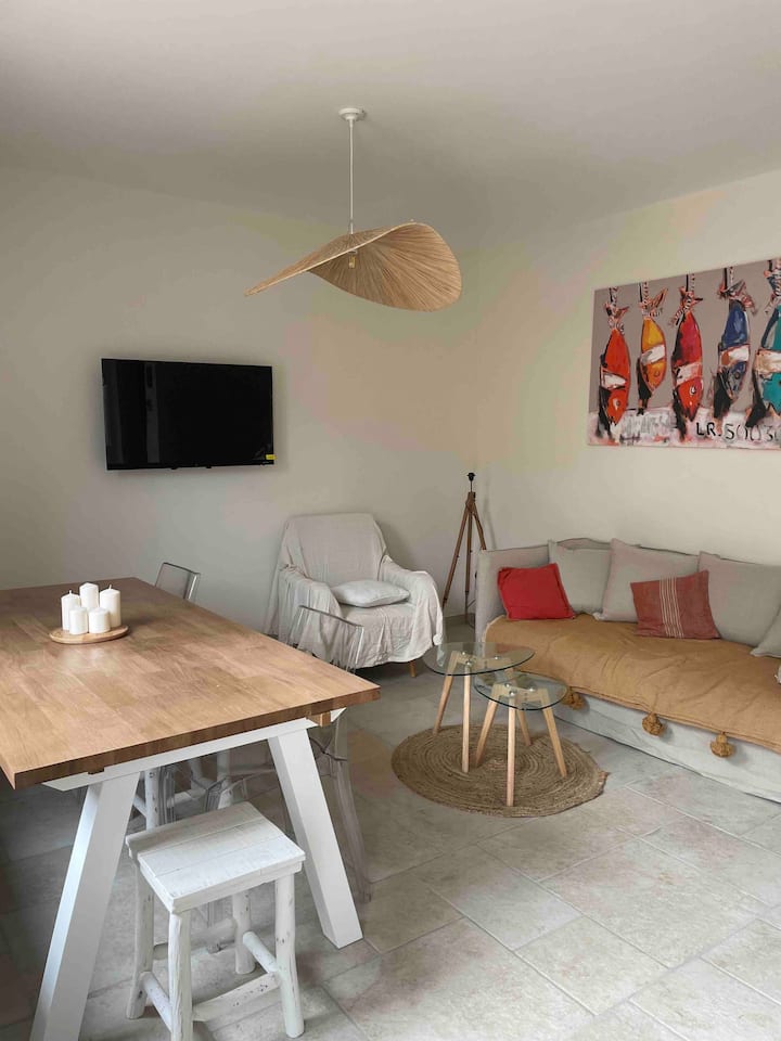 Apartment, big terrace