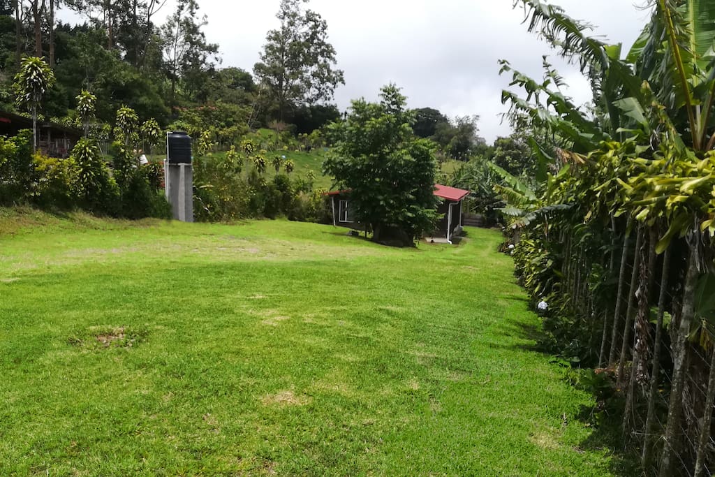 Yard