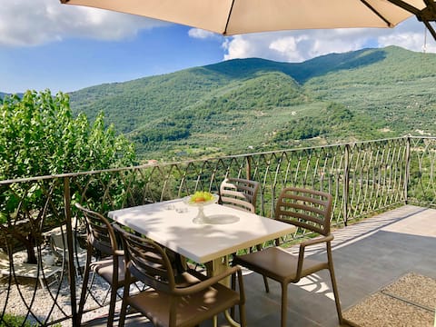 Bianca: Private terrace between olive trees and the sea