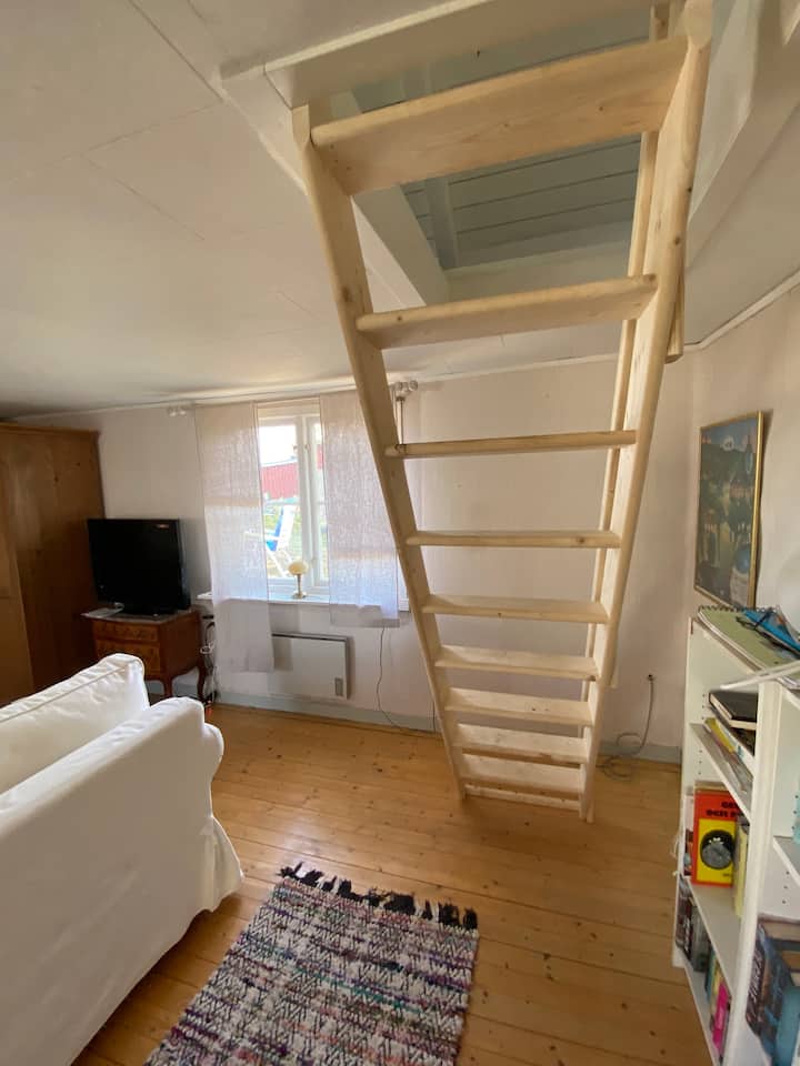 ترابا حتى سوفلوفت