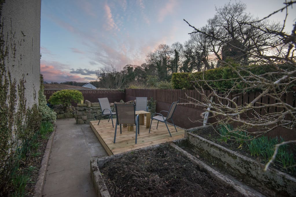Decking and vegetable patch