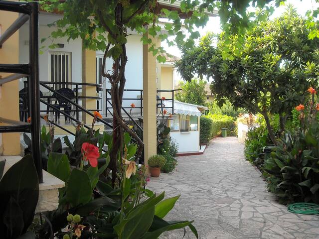 Kostas one bedroom apartment 5