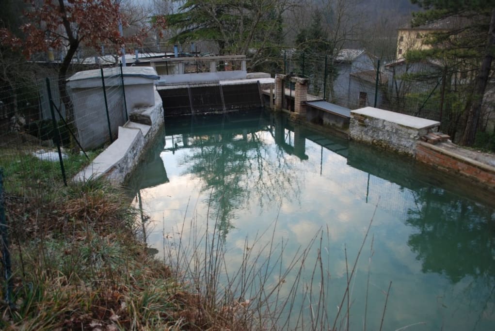 La vasca di carico (bottaccio o sfolta) del mulino e della centralina idroelettrica.