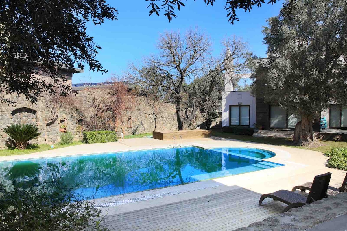 A private pool is featured in a landscaped outdoor area, surrounded by olive trees and stone walls. Sun loungers are positioned beside the pool, which reflects the blue sky and greenery, providing a serene space for relaxation.
