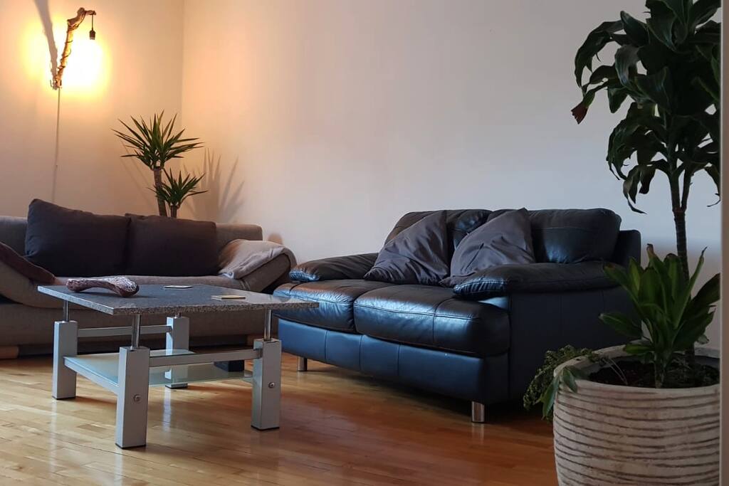 the right sofa is a sofa bed