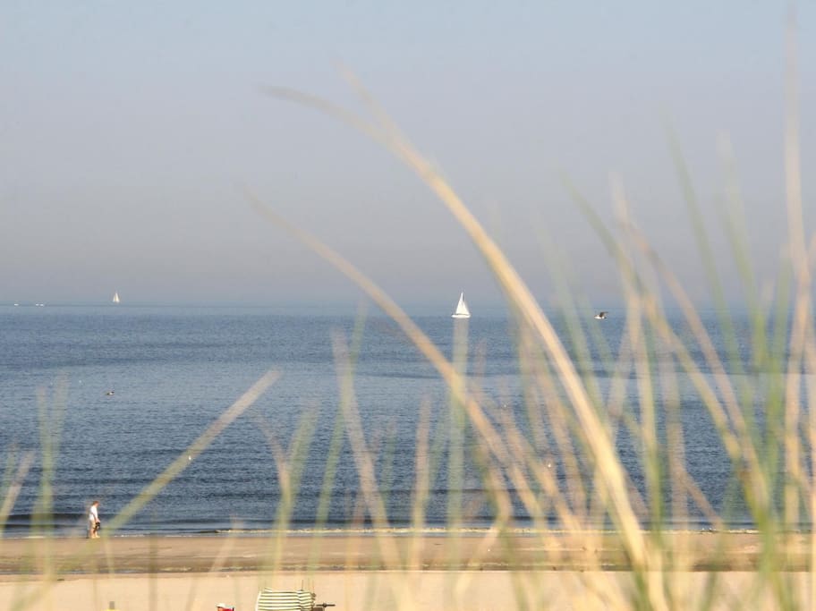 View of the beach