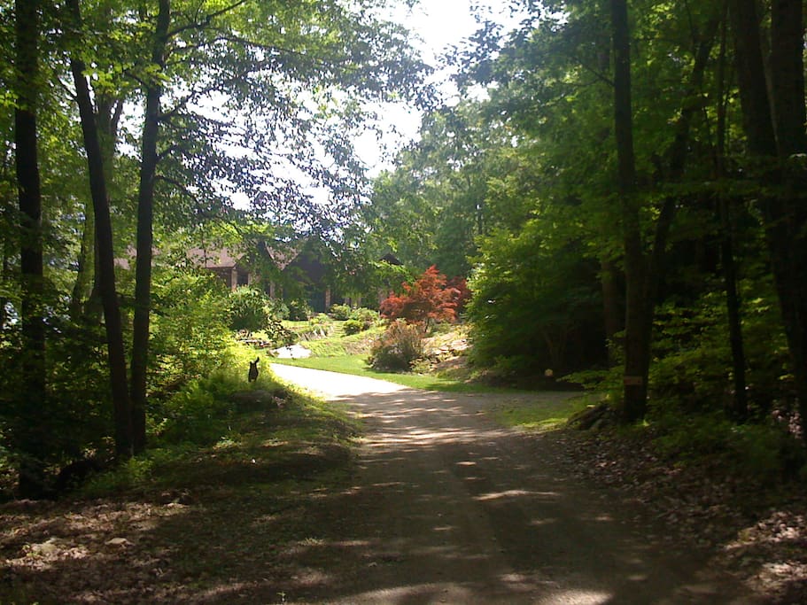Front Entrance