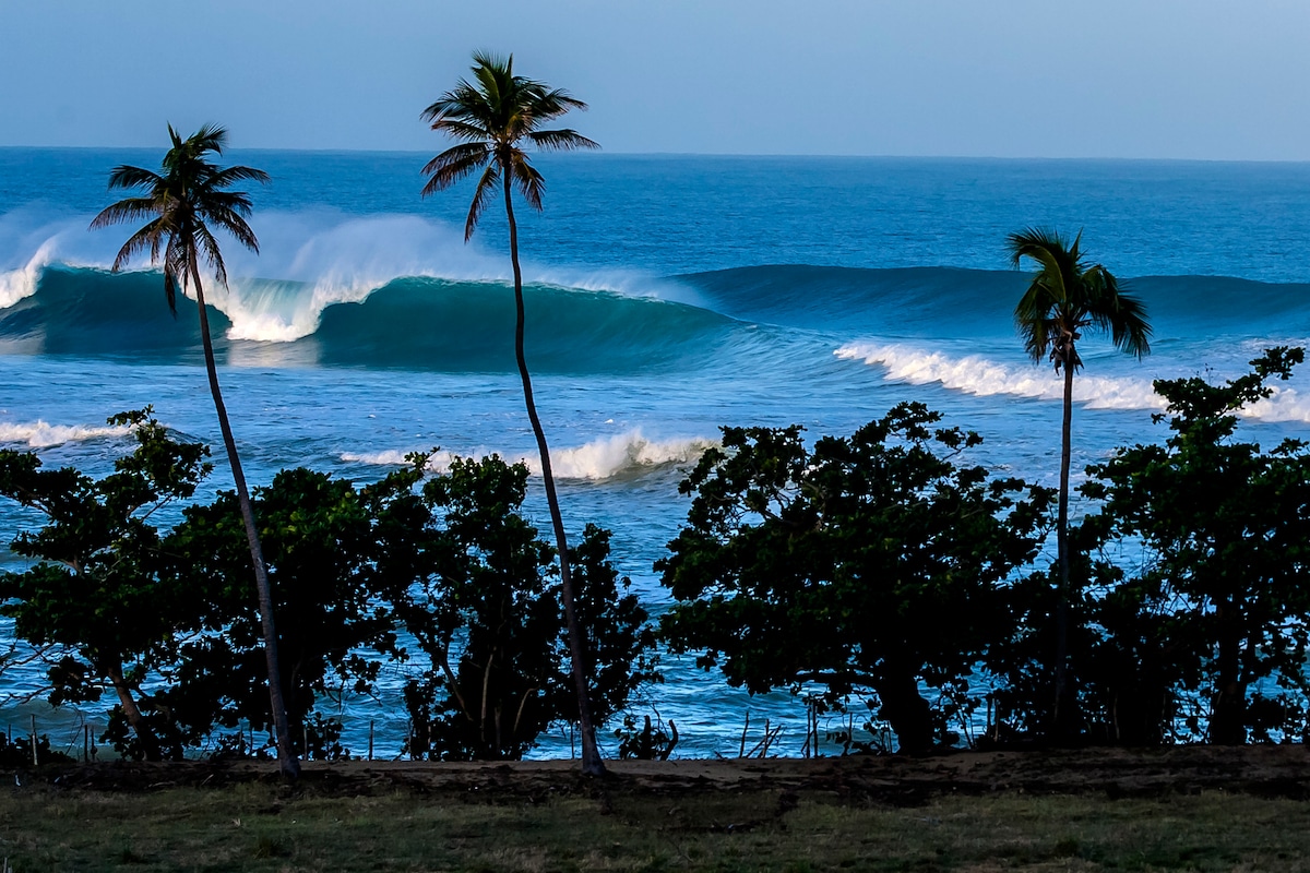 A scenic view of Sandy Beach features rolling waves and palm trees framing the foreground. The ocean displays vibrant shades of blue, with towering waves breaking against the shore. Lush greenery adds depth to the landscape, emphasizing the tropical environment.