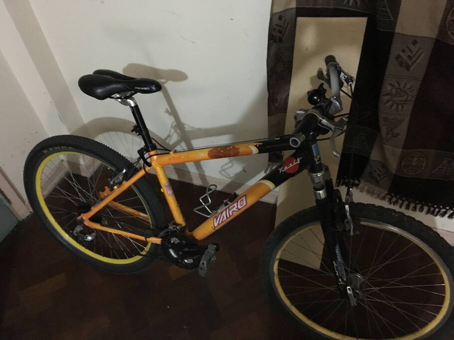 tengo una bici en la que puedes recorrer la ciudad.