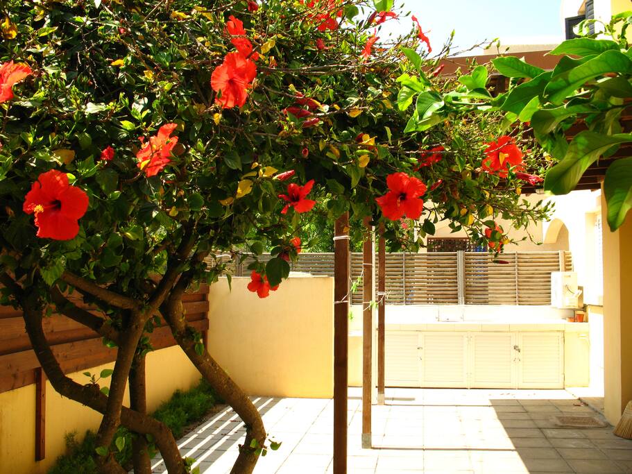 Veranda-fenced