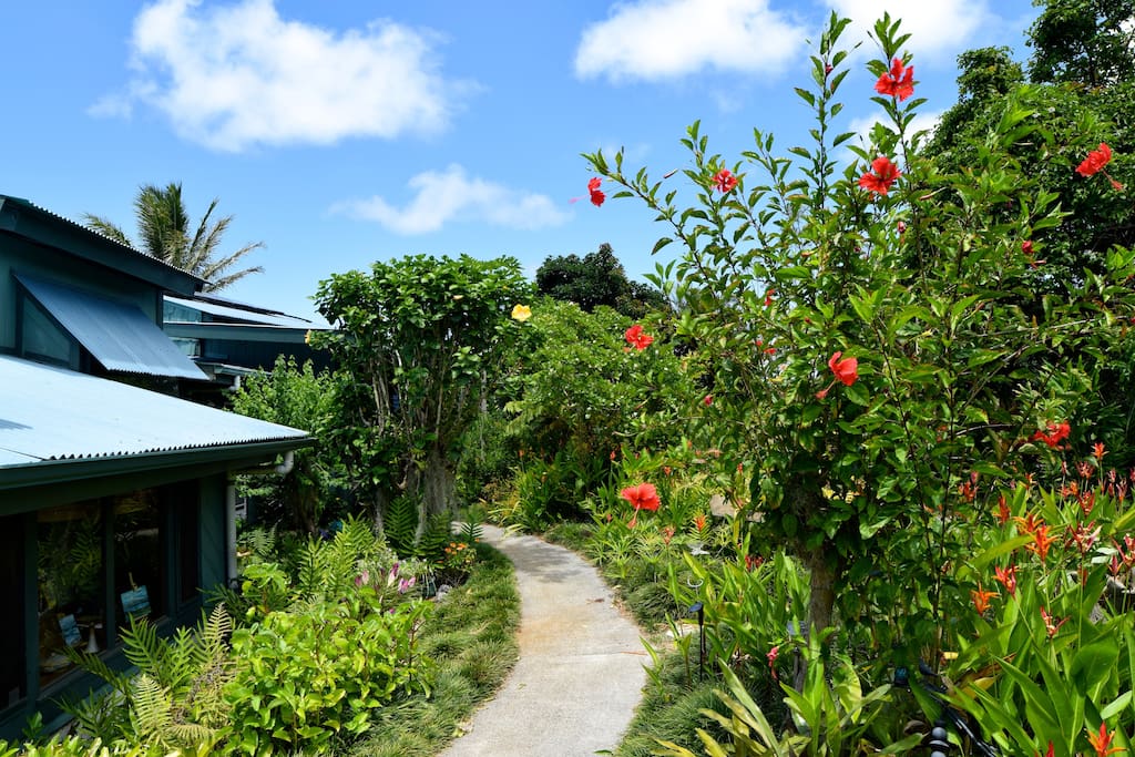 Path to the Sundeck