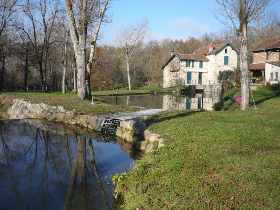 Le ruisseau et l'étang