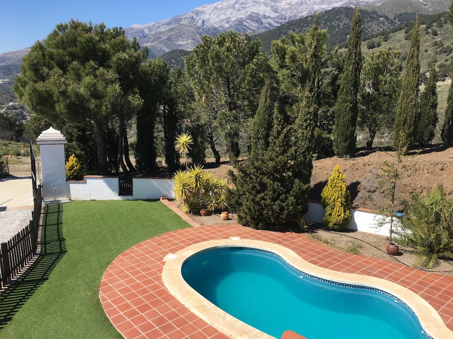 Pool Area