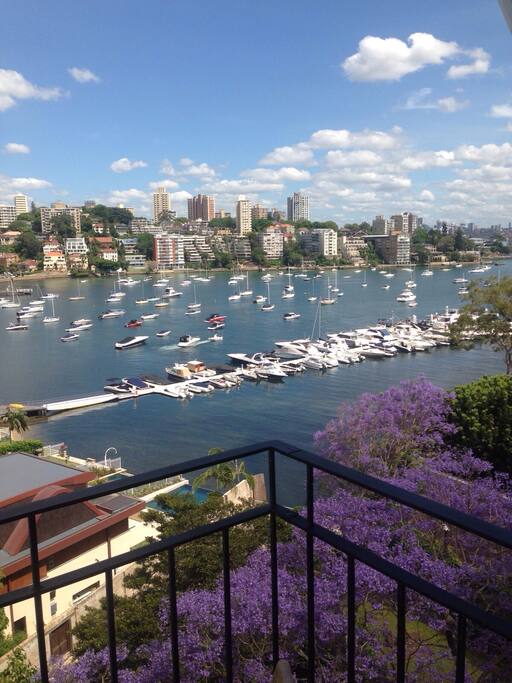 Harbour Views