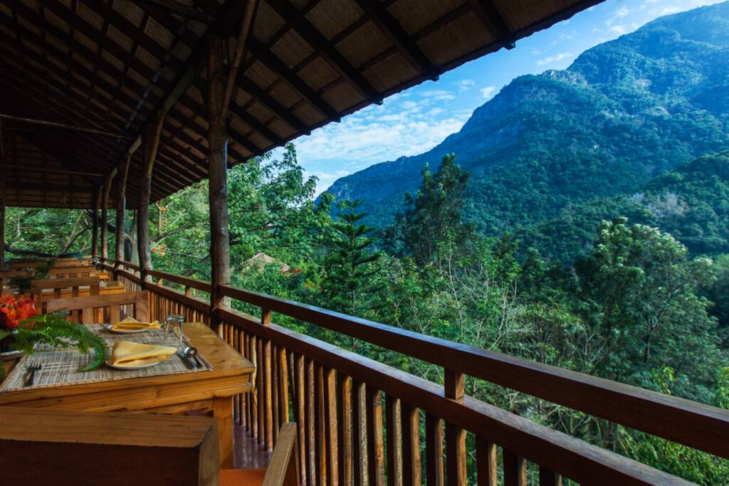 View from dining