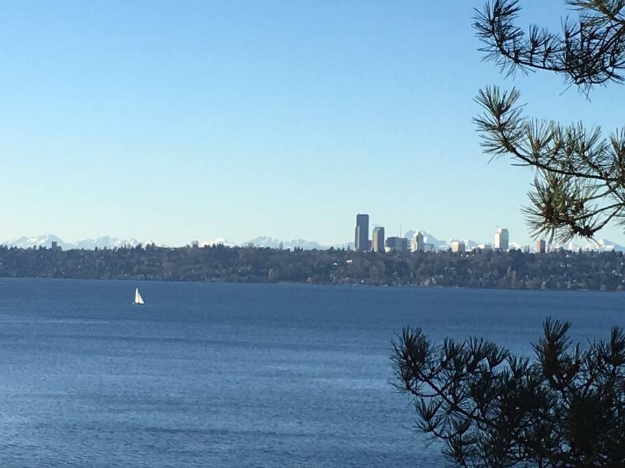 Summer lake view