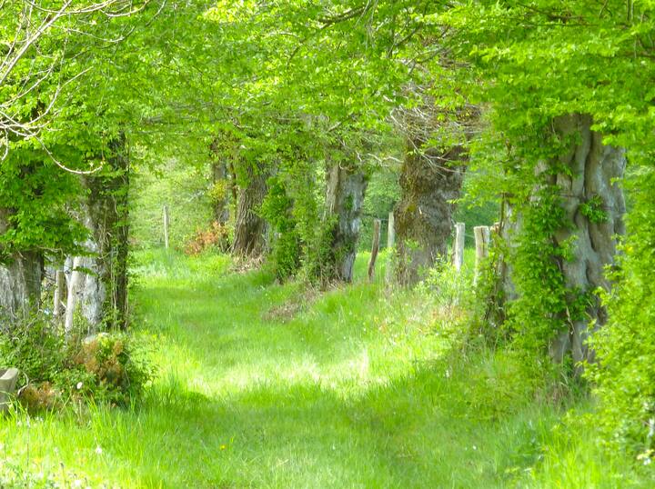 Maison Petite Creuse — foto 16