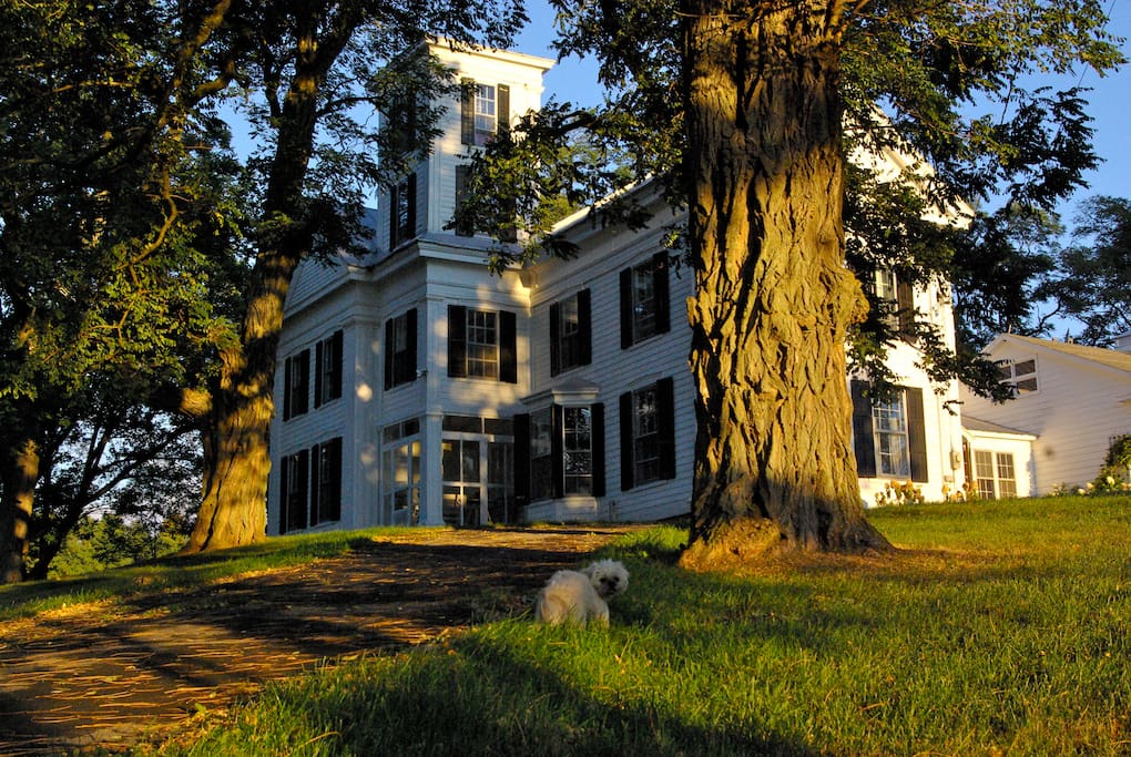 Historic Catskill Mountain House Houses for Rent in Durham, New York