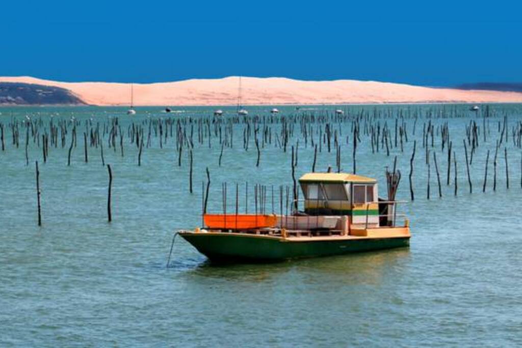 Dune du pyla