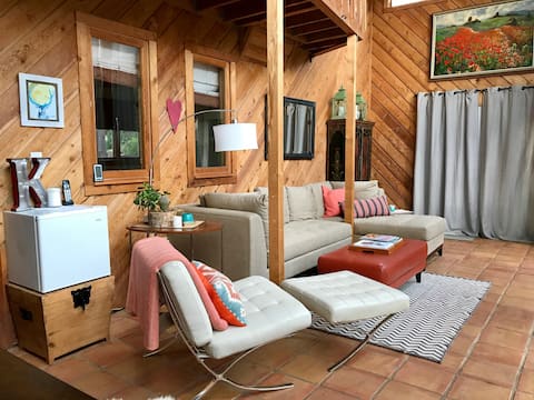 2 Bdrm Guest Suite w/ breathtaking views | Basalt