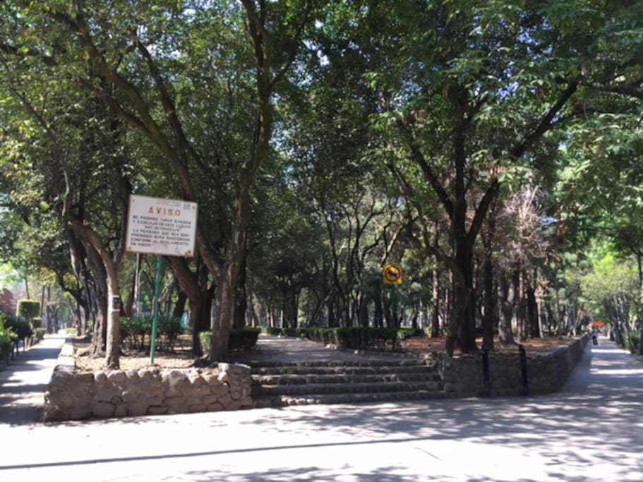 The beautiful park in front our house!