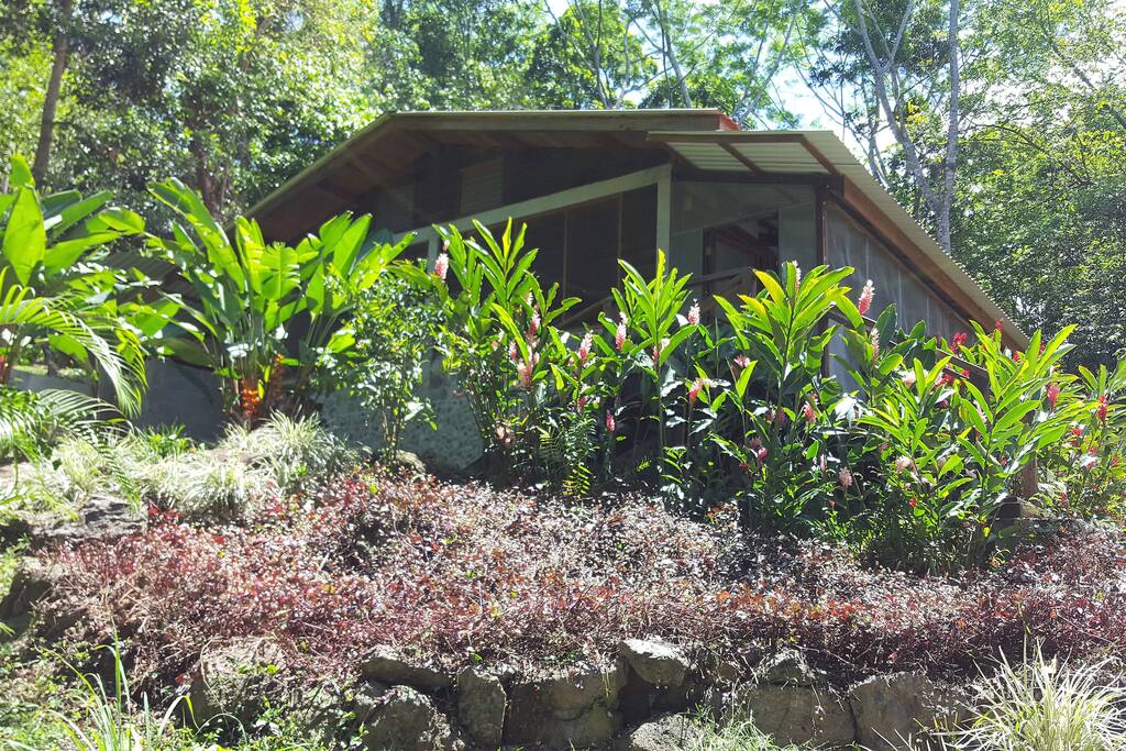 Casa Savannah