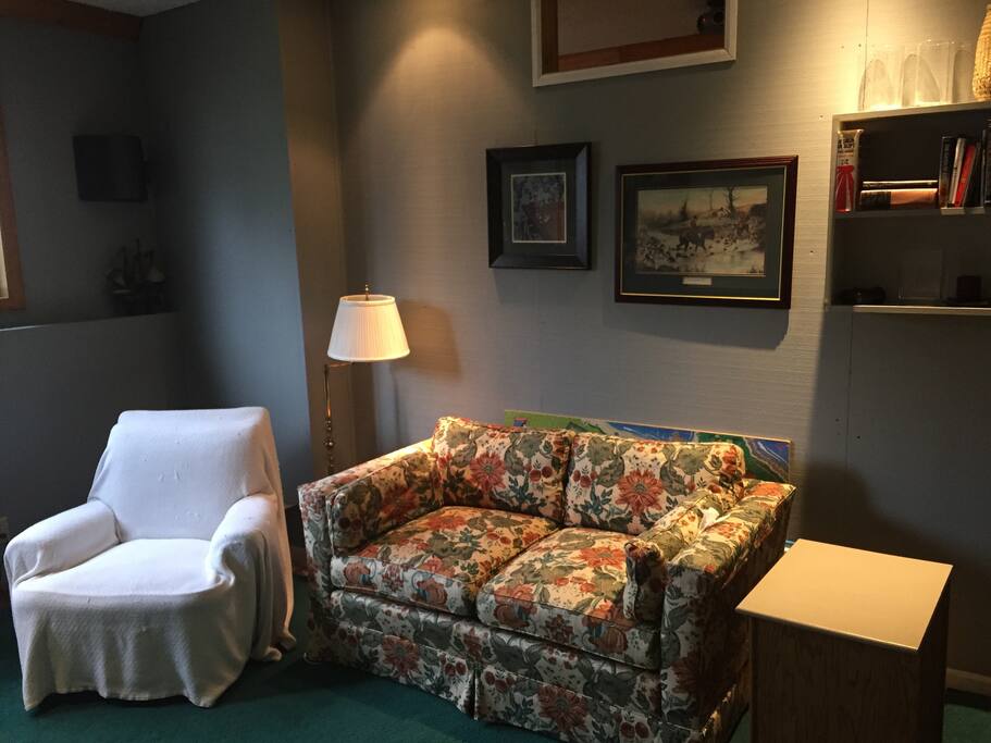 Lower Level Family Room