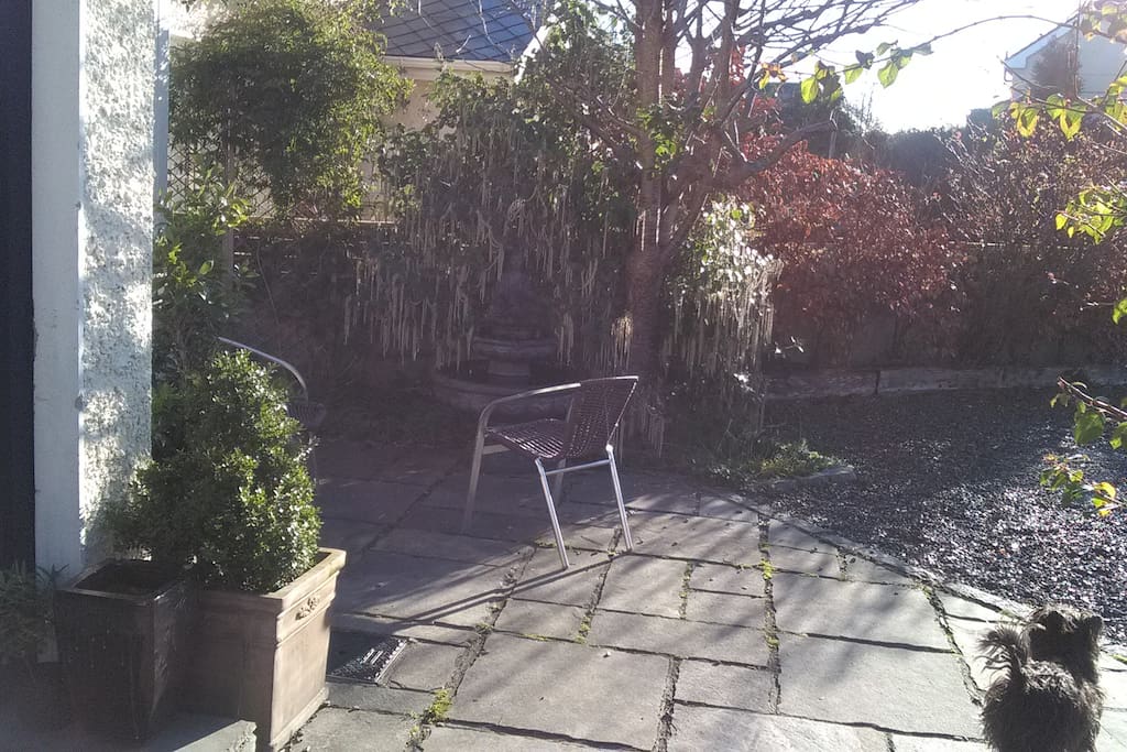 Patio area in front facing south