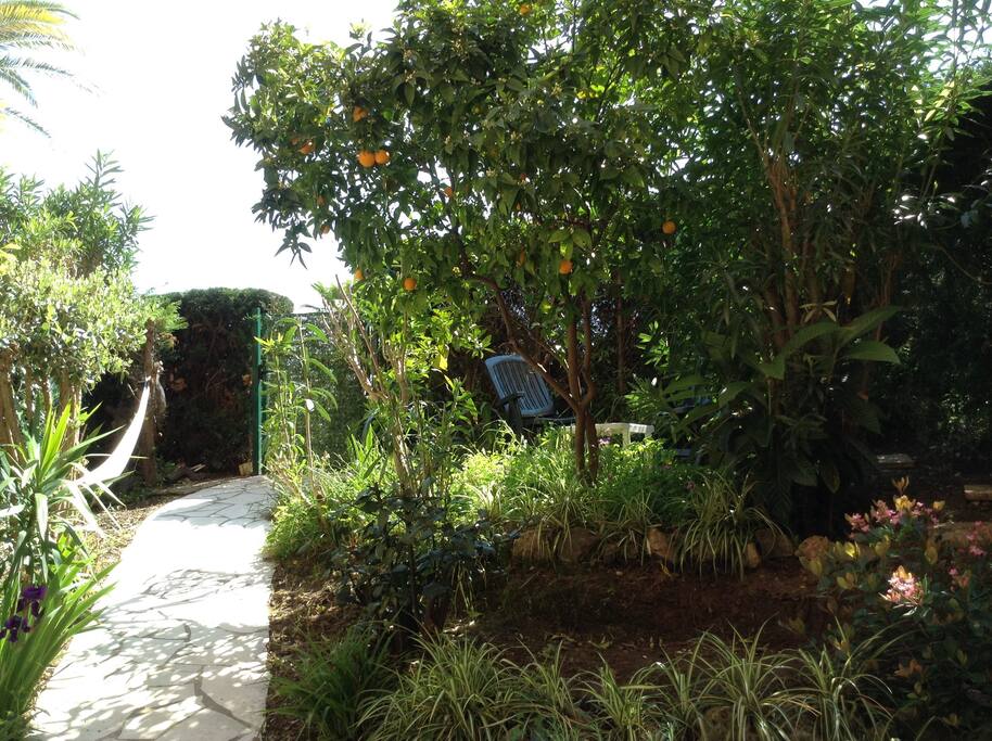 le hamac, le salon de jardin sous l'oranger et le figuier...