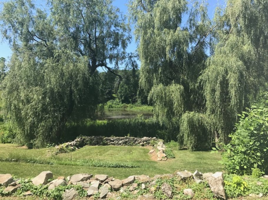 Rear lawn view of creek