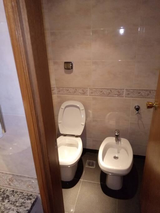 inodoro y bidet
