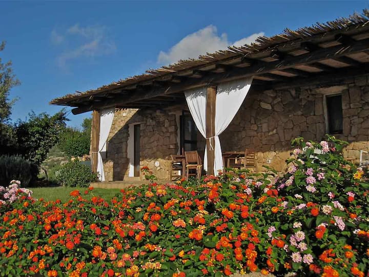 La Casetta, an old stone house Houses for Rent in Arzachena, Sardinia