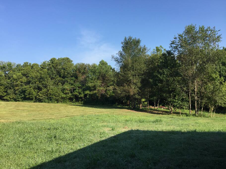 Side yard