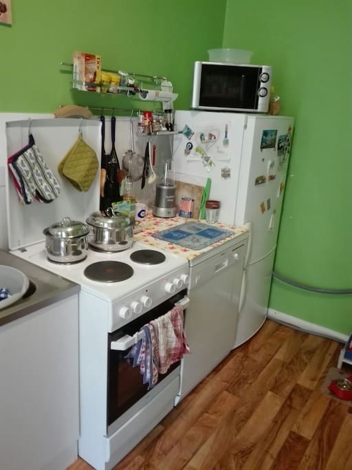 Kühlschrank, Mikrowelle, E-Herd mit Backofen, Geschirrspüler, Spüle