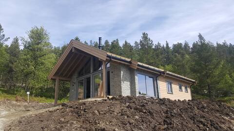 New cottage in quiet surroundings on Lemon Lake
