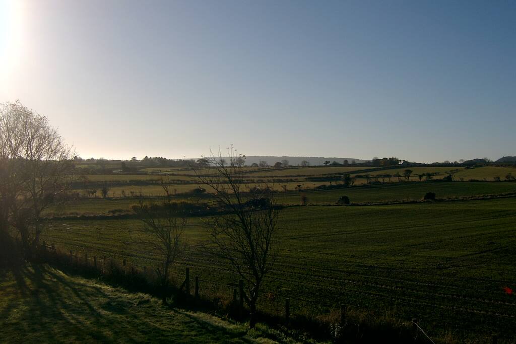 View from the bedroom window