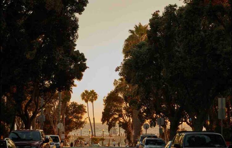 Santa Monica DREAM Modern Home gallery image 2