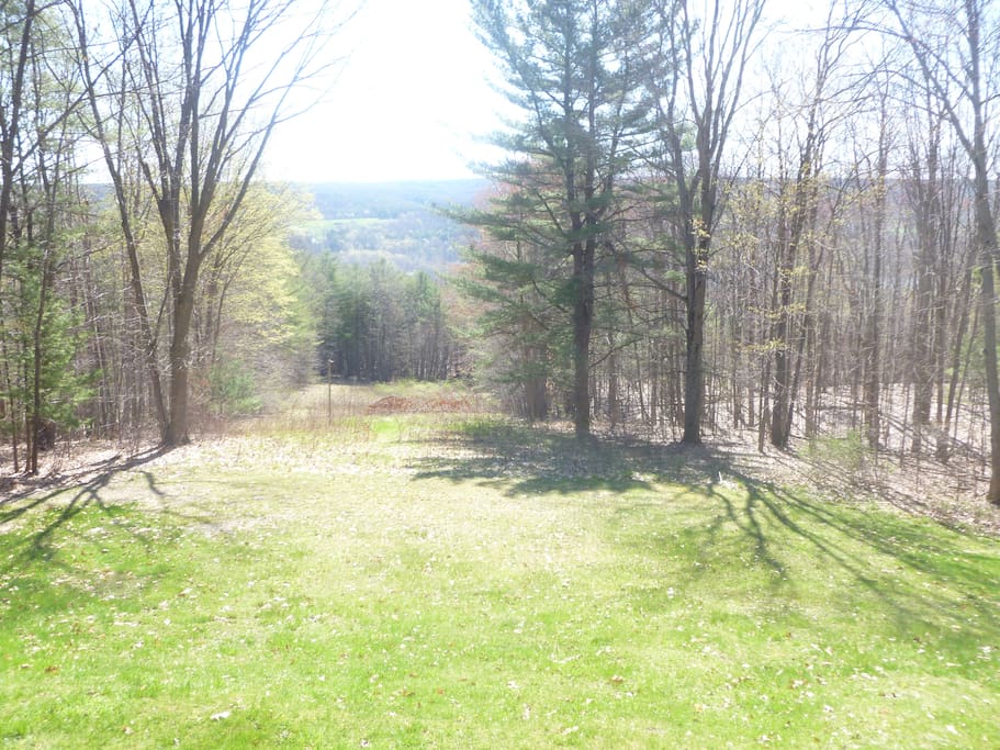 LOOKING OVER OUR 22 ACRES