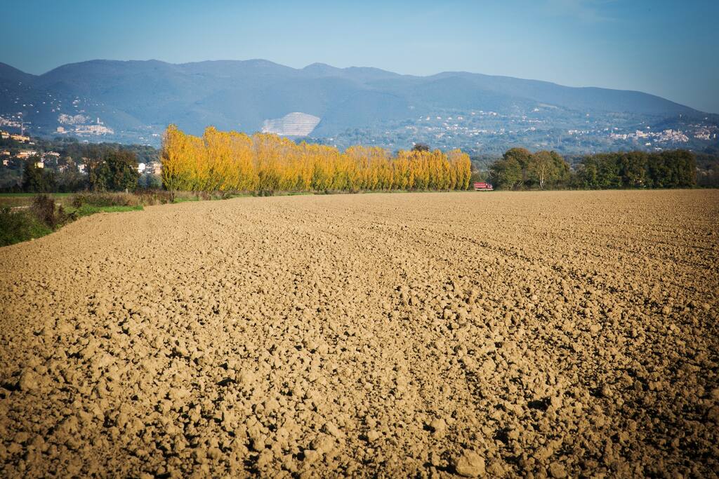 This is the plain just down the hill (10min walk)