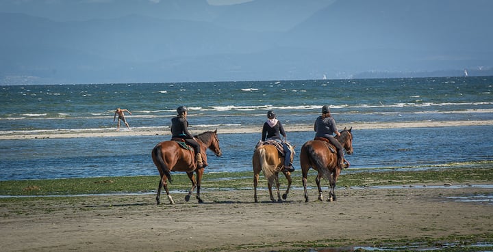 Windslow Guest Suite at Kye Bay Beach in Comox