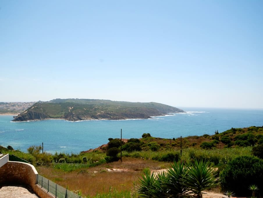 House's View