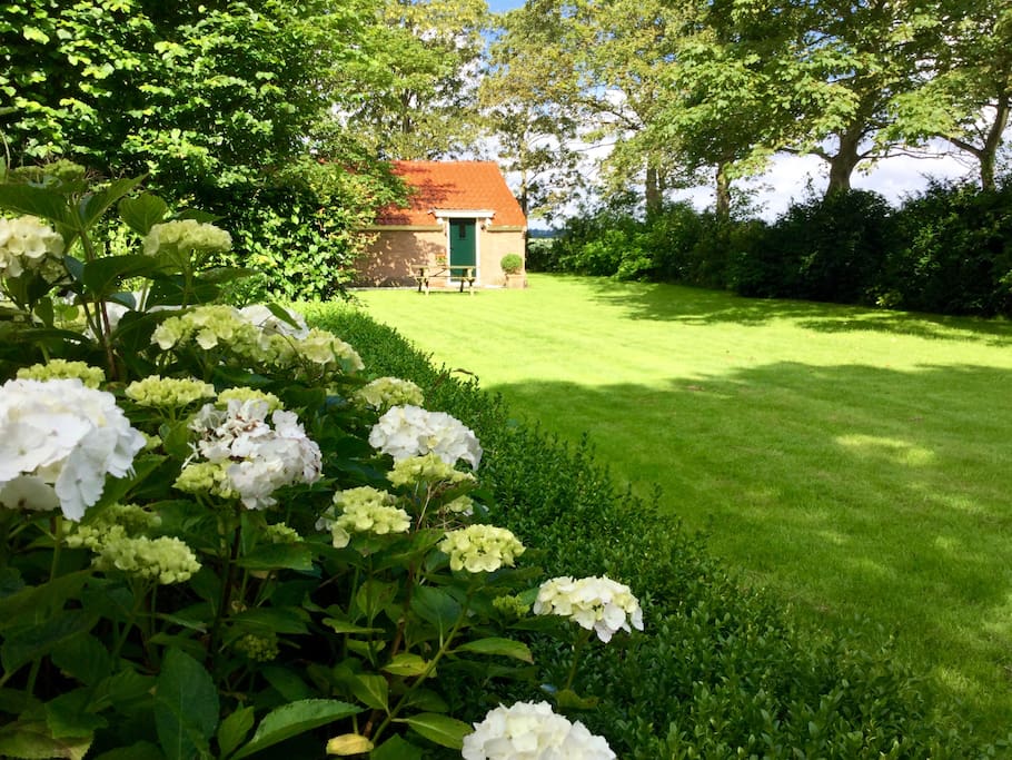 Een grote tuin alleen
voor onze gasten.