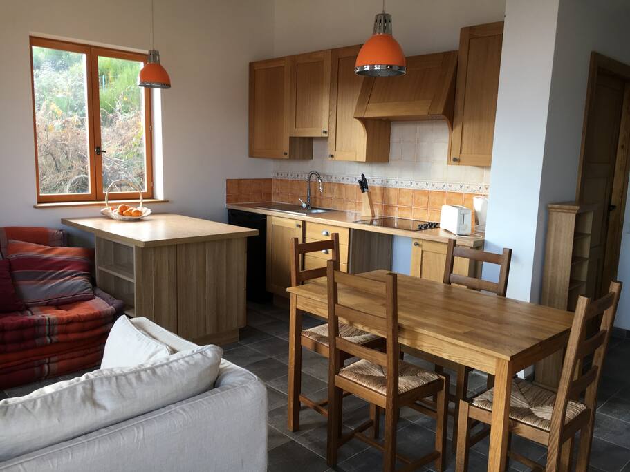 Kitchen and common space