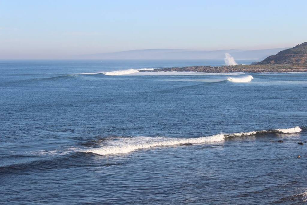 The Bay