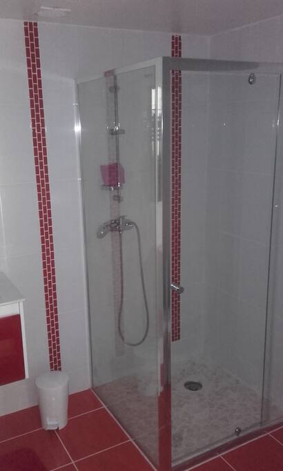 salle de bains de la chambre 1 (avec WC)
