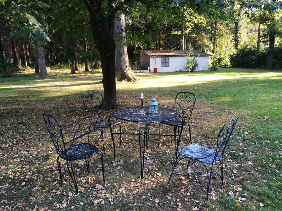 Terrasse dans les bois