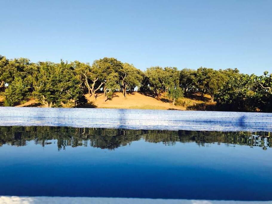 piscina